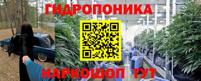 шишки Краснознаменск