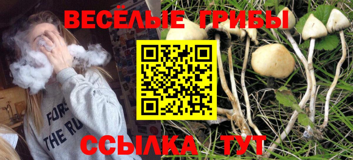 Галлюциногенные грибы ЛСД  Вход с VPN  Елизово 